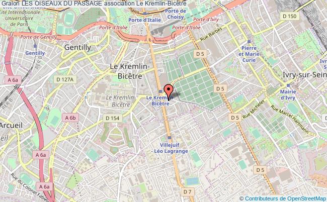 LES OISEAUX DU PASSAGE