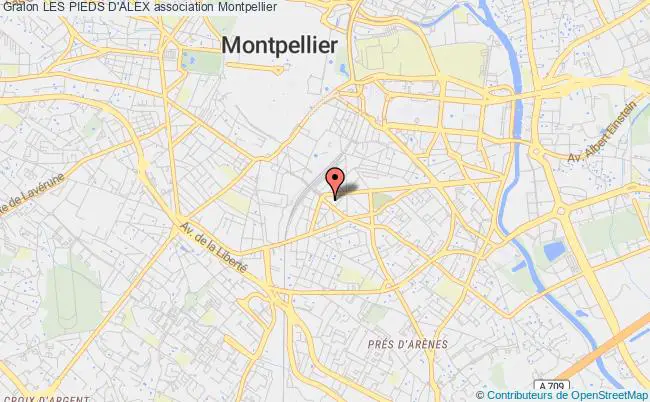 plan association Les Pieds D'alex Montpellier