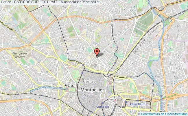 plan association Les Pieds Sur Les Epaules Montpellier