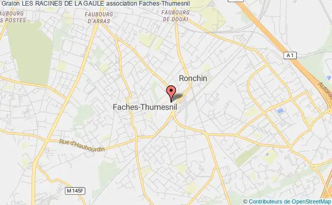plan association Les Racines De La Gaule Faches-Thumesnil