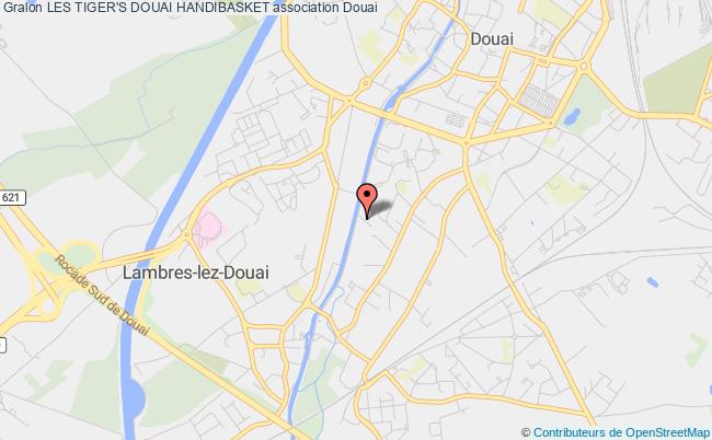 LES TIGER'S DOUAI HANDIBASKET