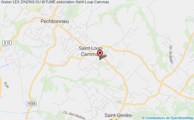 plan association Les Zinzins Du Bitume Saint-Loup-Cammas