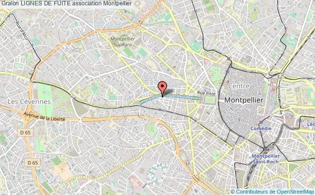 plan association Lignes De Fuite Montpellier