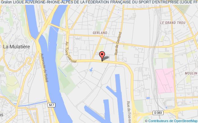 LIGUE AUVERGNE-RHONE-ALPES DE LA FÉDÉRATION FRANÇAISE DU SPORT D'ENTREPRISE (LIGUE FFSE AURA)