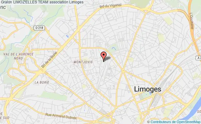 plan association Limoz'elles Team Limoges