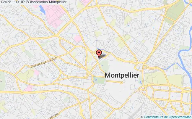 plan association Luxuriis Montpellier
