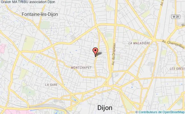 plan association Ma Tribu Dijon