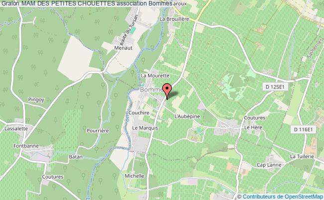 MAM DES PETITES CHOUETTES