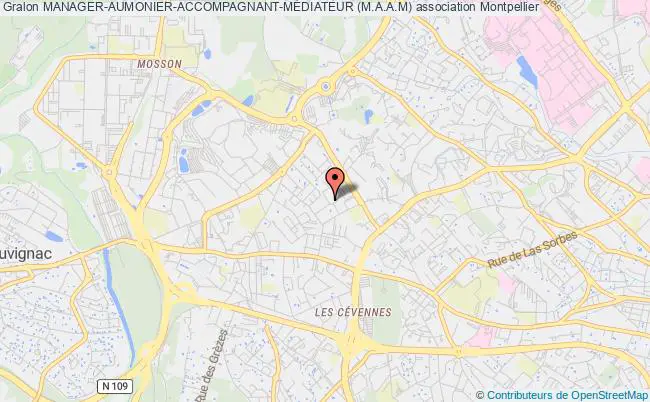 plan association Manager-aumonier-accompagnant-mÉdiateur (m.a.a.m) Montpellier