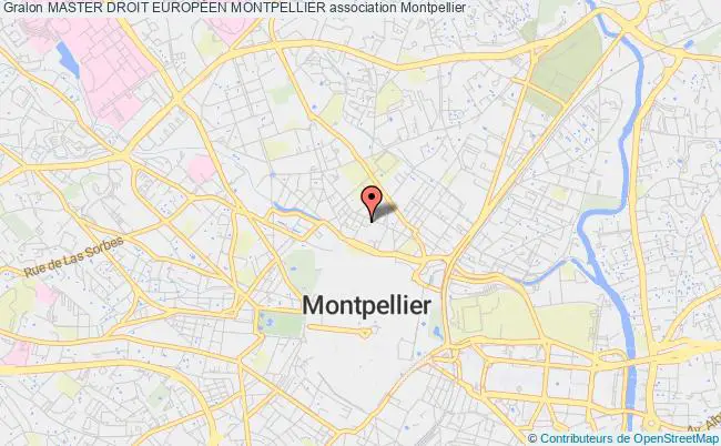 plan association Master Droit EuropÉen Montpellier Montpellier
