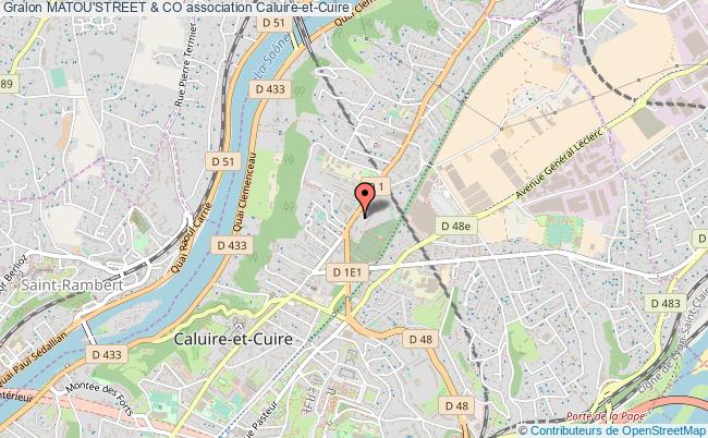 chat caluire et cuire