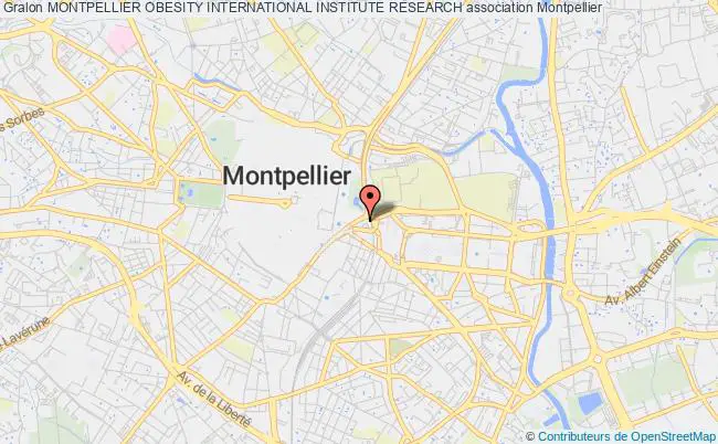 plan association Montpellier Obesity International Institute Research Montpellier