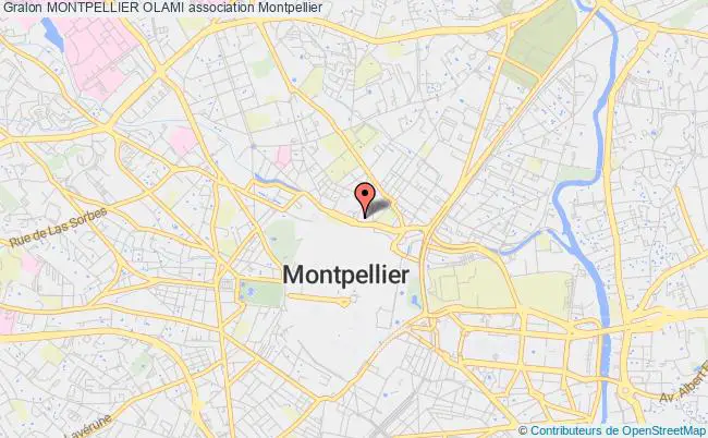 plan association Montpellier Olami Montpellier