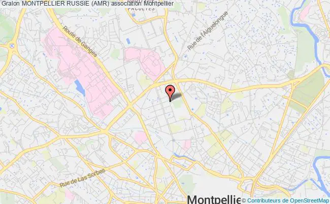 plan association Montpellier Russie (amr) 