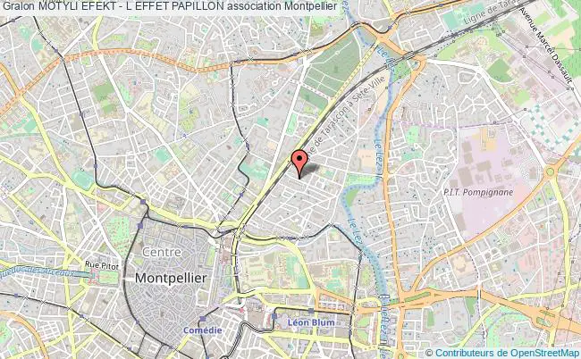 plan association Motyli Efekt - L Effet Papillon Montpellier