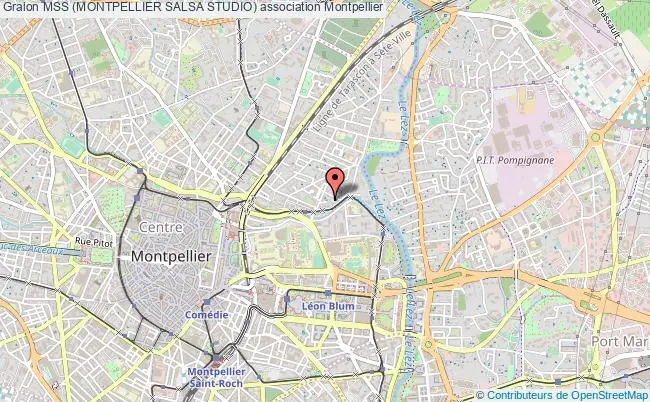 plan association Mss (montpellier Salsa Studio) Montpellier