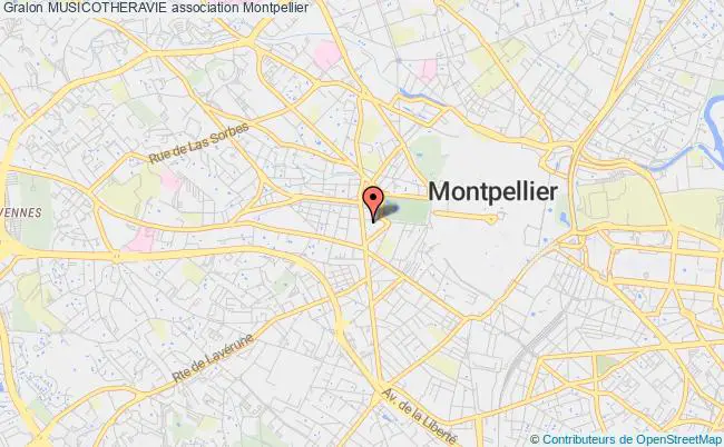 plan association Musicotheravie Montpellier