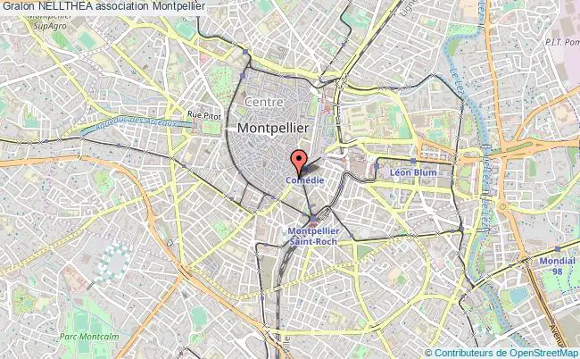 plan association Nellthea Montpellier