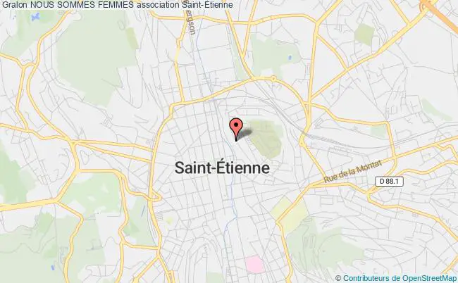 plan association Nous Sommes Femmes Saint-Étienne