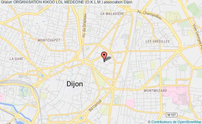 plan association Organisation Kikoo Lol Medecine (o.k.l.m.) Dijon