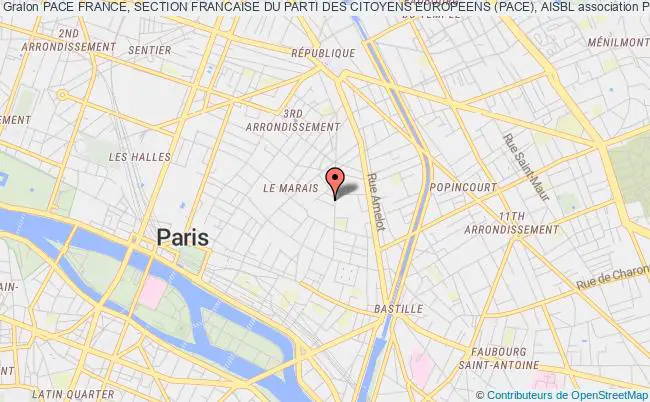plan association Pace France, Section Francaise Du Parti Des Citoyens Europeens (pace), Aisbl PARIS