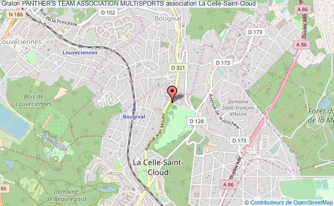 PANTHER'S TEAM ASSOCIATION MULTISPORTS