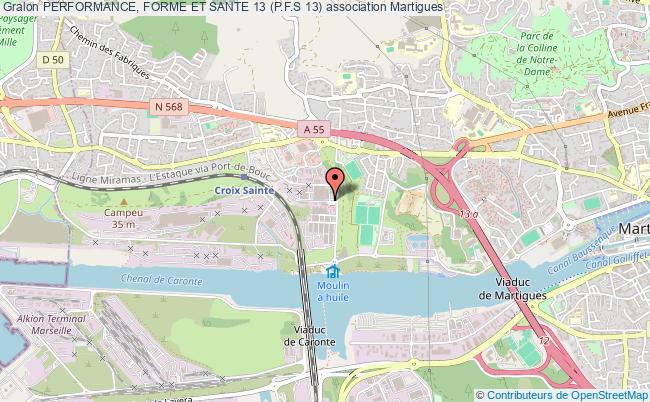 PERFORMANCE, FORME ET SANTE 13 (P.F.S 13)