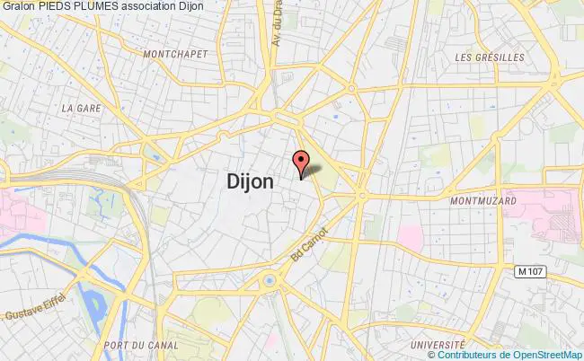 plan association Pieds Plumes Dijon