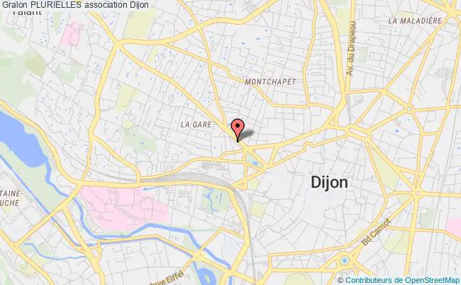 plan association Plurielles Dijon
