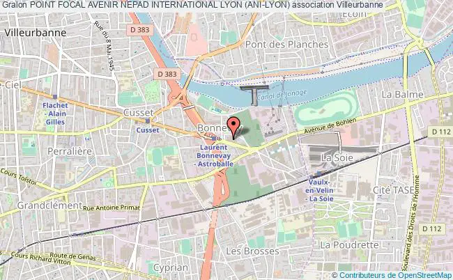 plan association Point Focal Avenir Nepad International Lyon (ani-lyon) Villeurbanne