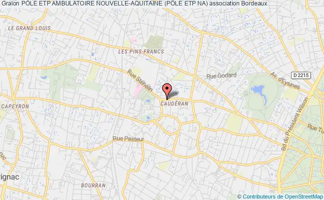 plan association PÔle Etp Ambulatoire Nouvelle-aquitaine (pÔle Etp Na) Bordeaux