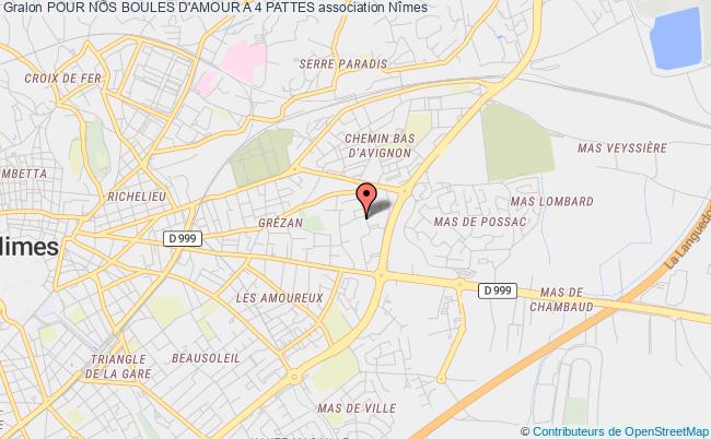 Pour Nos Boules D Amour A 4 Pattes Association Animaux Benevoles Famille Steriliser Nimes
