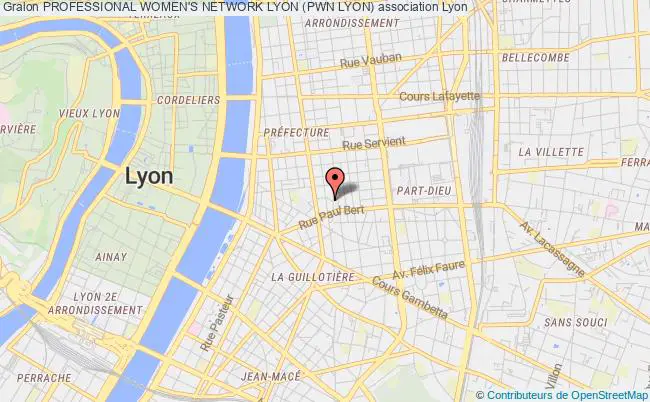 plan association Professional Women's Network Lyon (pwn Lyon) Lyon