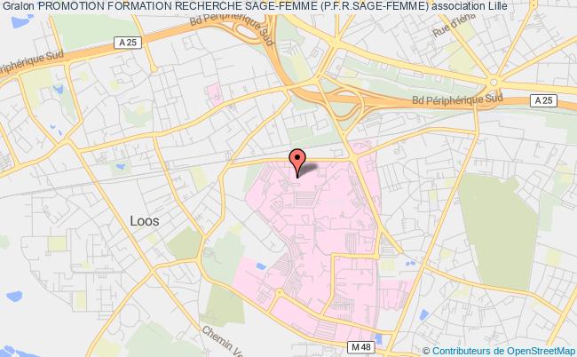 plan association Promotion Formation Recherche Sage-femme (p.f.r.sage-femme) Lille Cédex