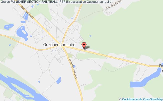 PUNISHER SECTION PAINTBALL (PSP45)