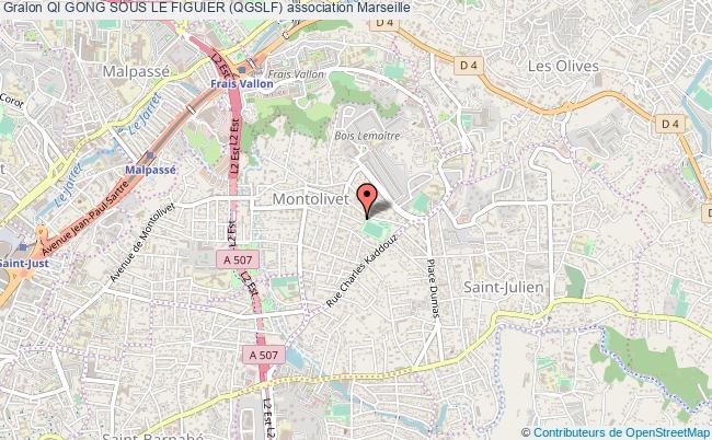 QI GONG SOUS LE FIGUIER (QGSLF)