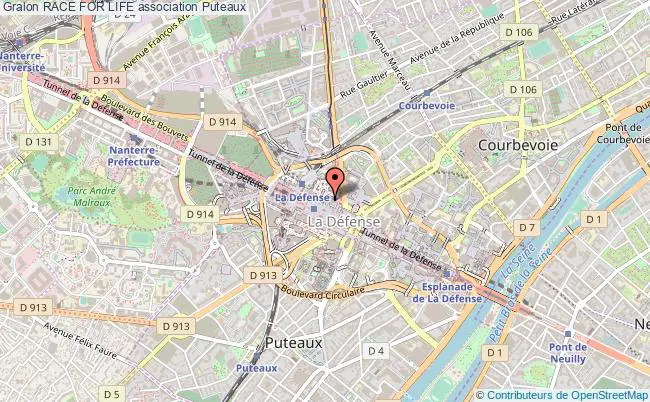 plan association Race For Life 92053 PARIS LA DEFENSE CEDEX/PUTEAUX