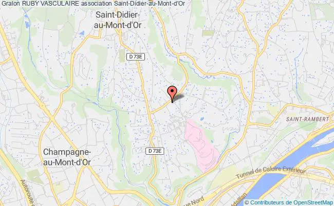 plan association Ruby Vasculaire Saint-Didier-au-Mont-d'Or