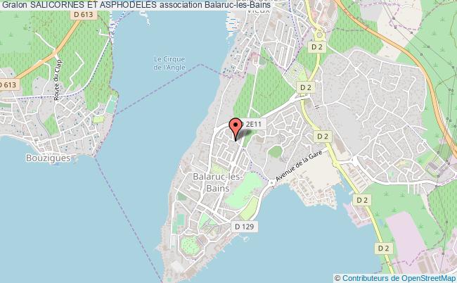 SALICORNES ET ASPHODELES