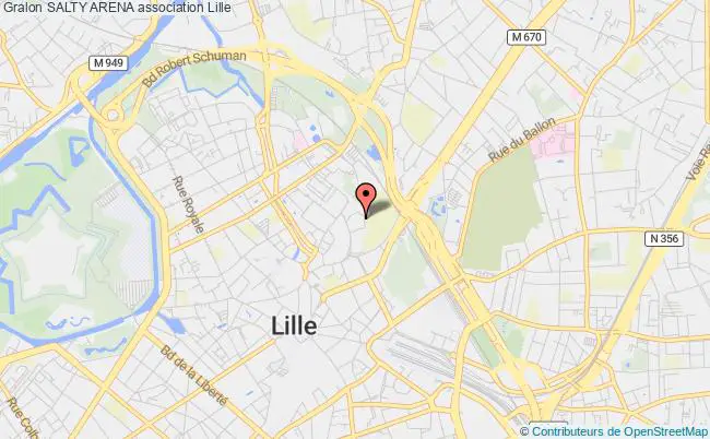 plan association Salty Arena Lille