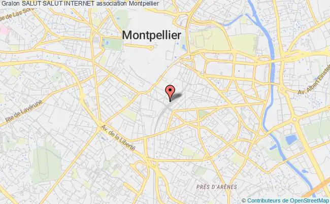 plan association Salut Salut Internet Montpellier