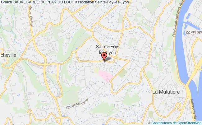 plan association Sauvegarde Du Plan Du Loup Sainte-Foy-lès-Lyon
