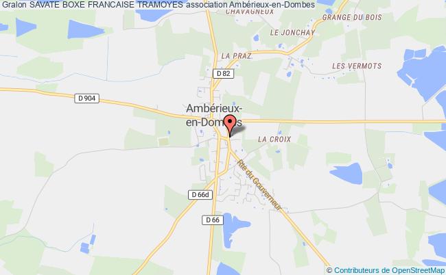 SAVATE BOXE FRANCAISE TRAMOYES