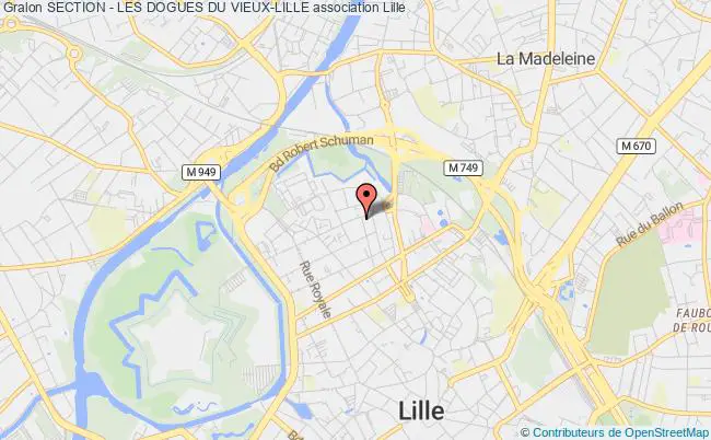 plan association Section - Les Dogues Du Vieux-lille Lille