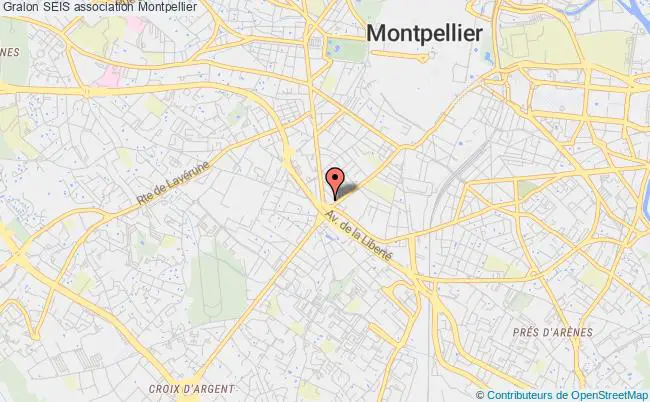 plan association Seis Montpellier