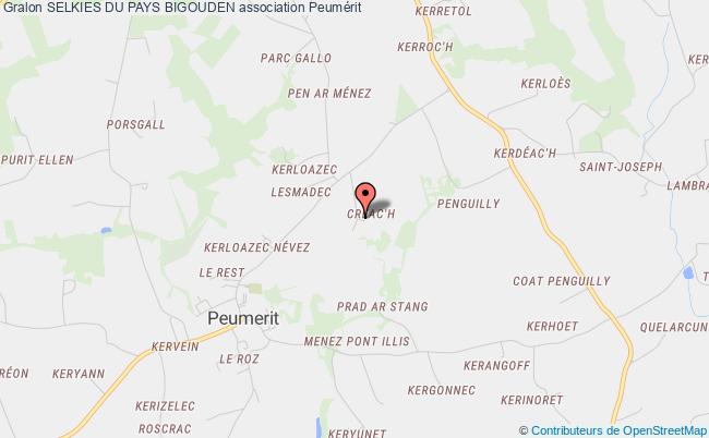 SELKIES DU PAYS BIGOUDEN