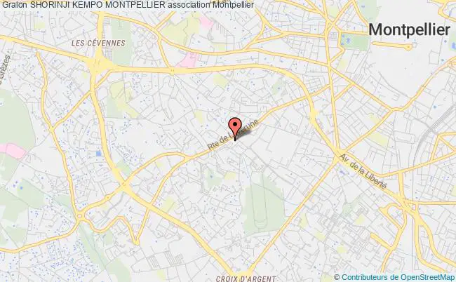 plan association Shorinji Kempo Montpellier Montpellier