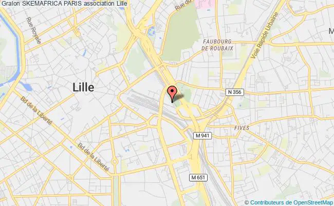 plan association Skemafrica Paris Lille