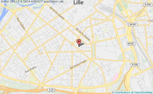 plan association Skills & Data Agency Lille