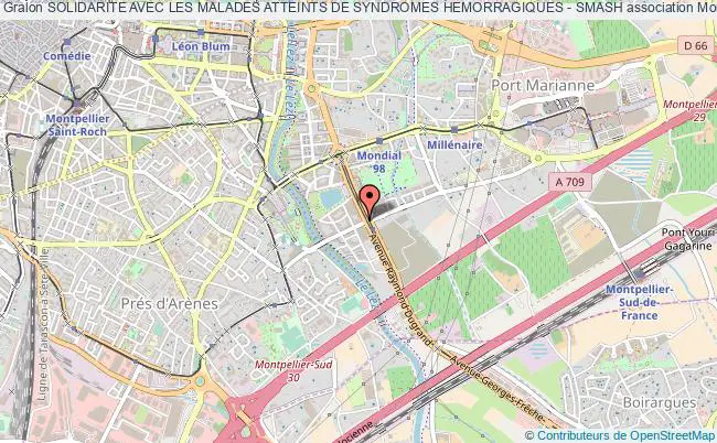 plan association Solidarite Avec Les Malades Atteints De Syndromes Hemorragiques - Smash Montpellier